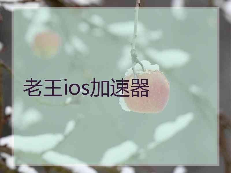 老王ios加速器