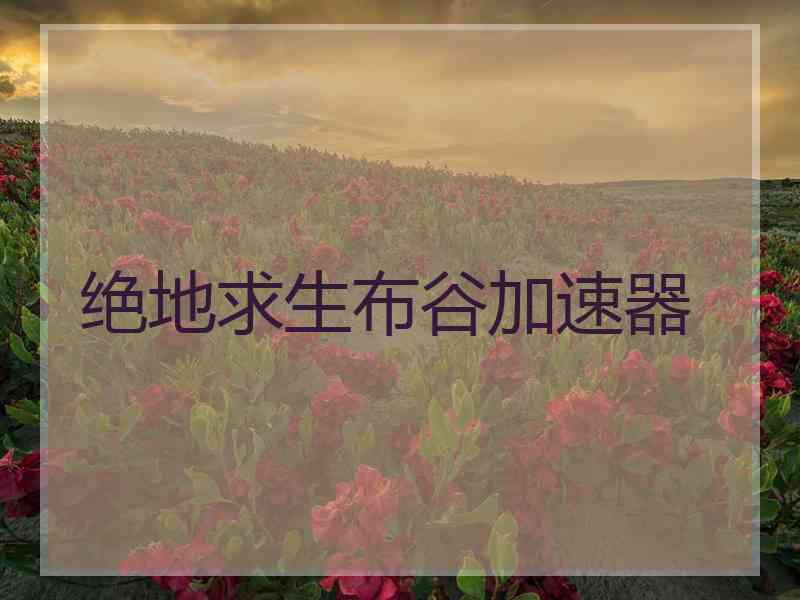 绝地求生布谷加速器