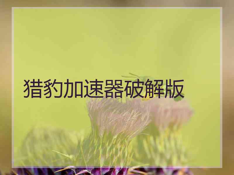 猎豹加速器破解版