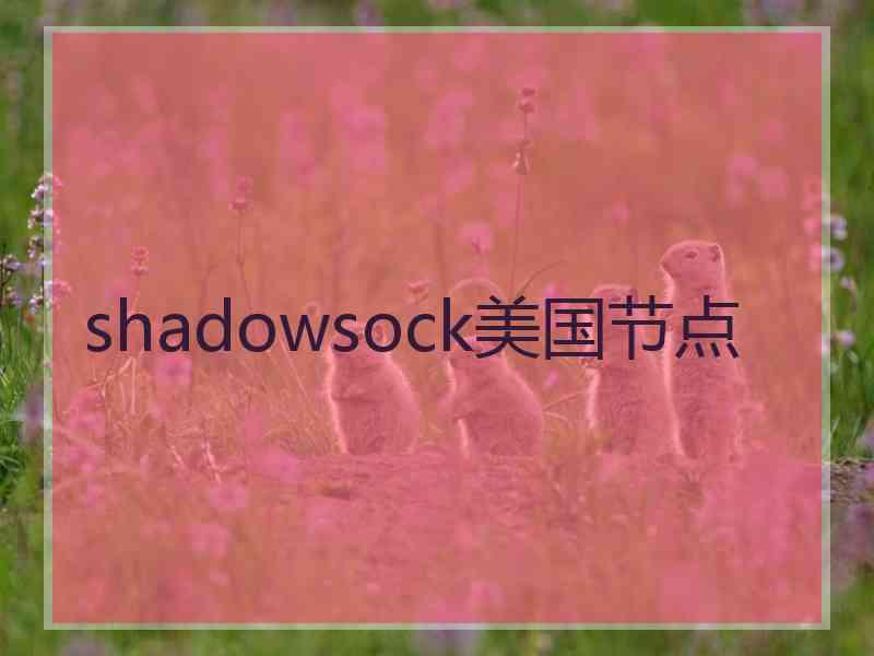 shadowsock美国节点