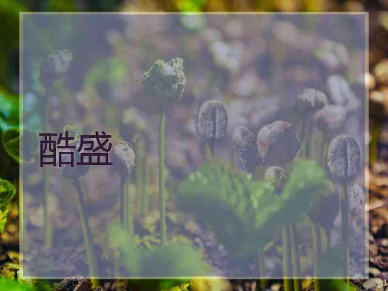 酷盛