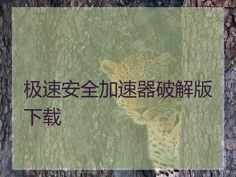 极速安全加速器破解版下载