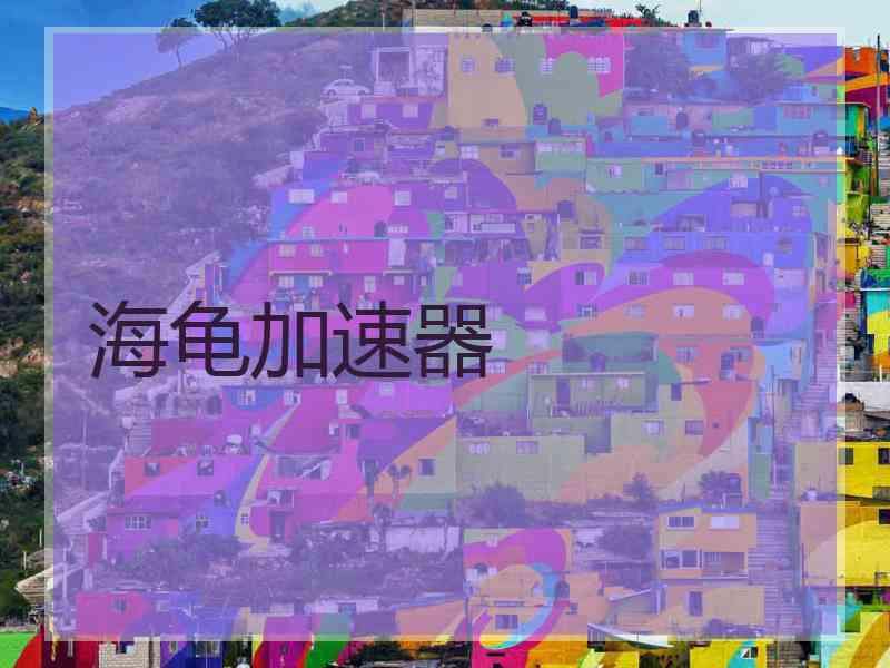 海龟加速器