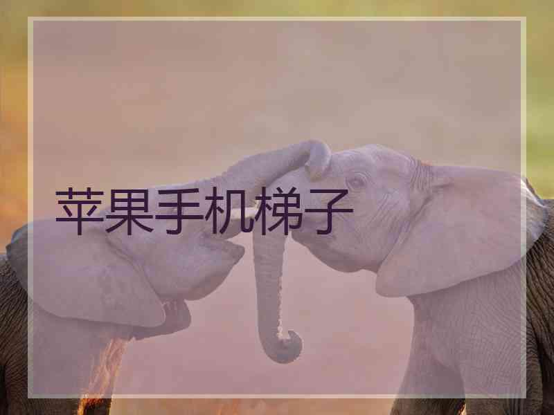 苹果手机梯子