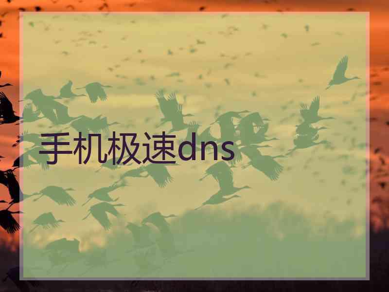 手机极速dns
