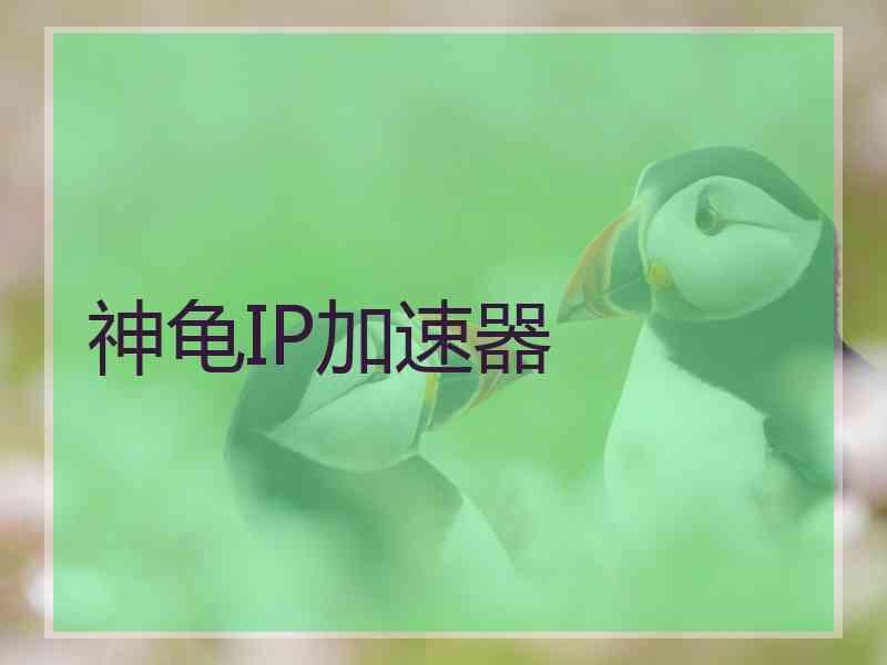 神龟IP加速器