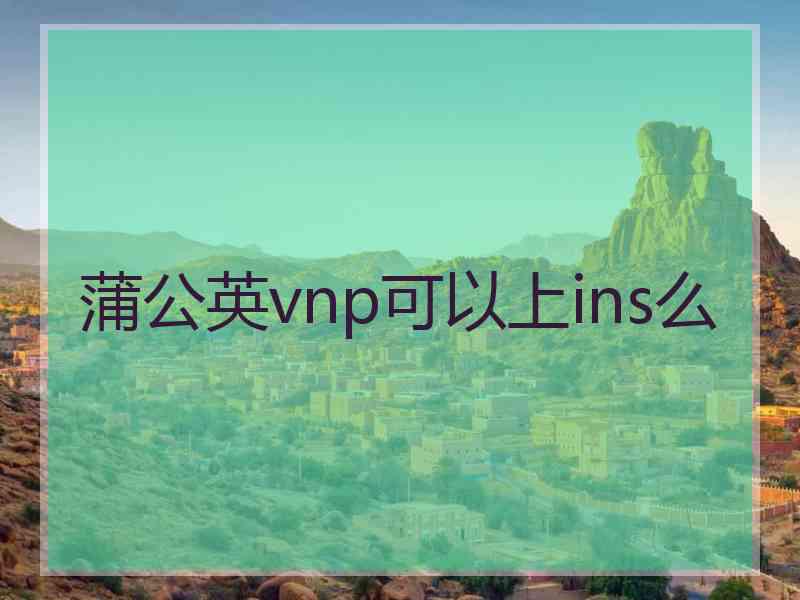 蒲公英vnp可以上ins么