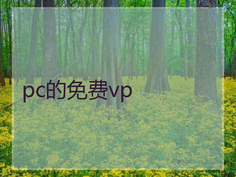 pc的免费vp
