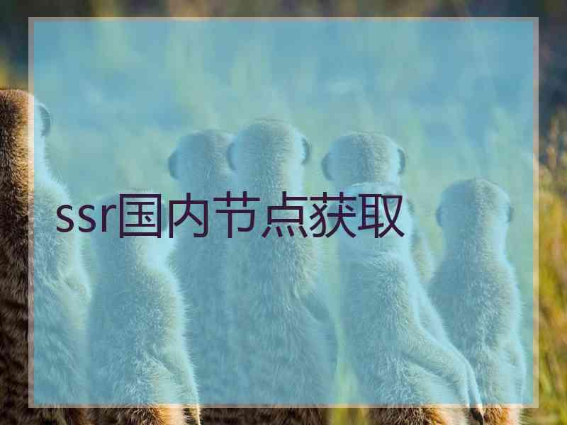 ssr国内节点获取