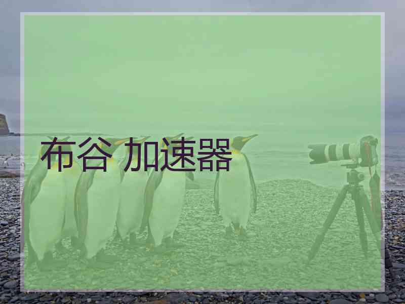 布谷 加速器