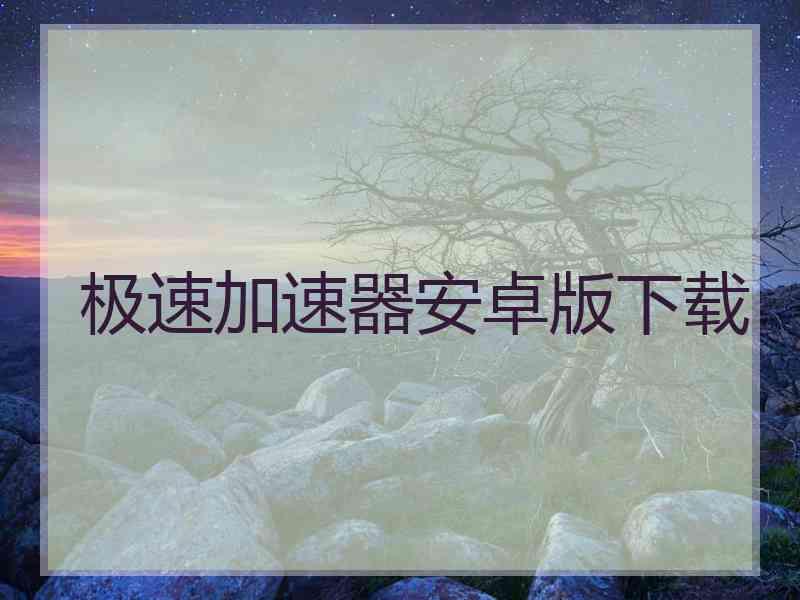 极速加速器安卓版下载