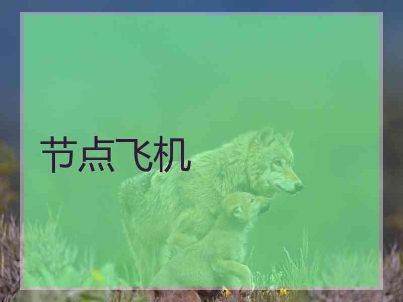 节点飞机