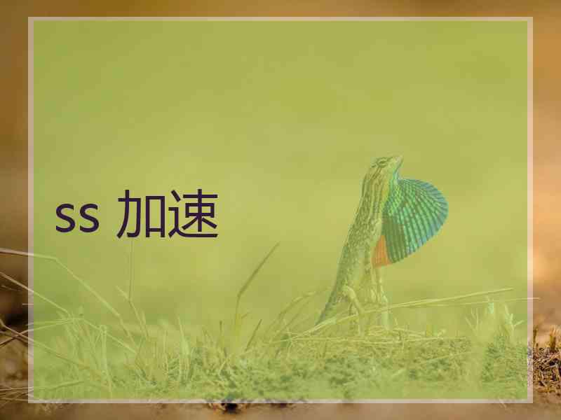 ss 加速