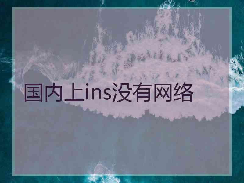 国内上ins没有网络
