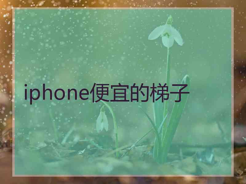 iphone便宜的梯子