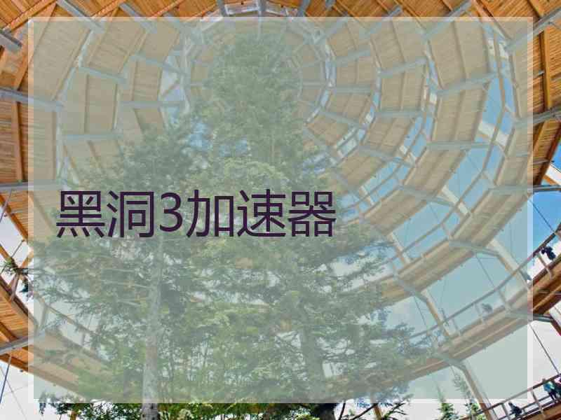 黑洞3加速器
