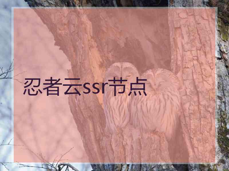 忍者云ssr节点