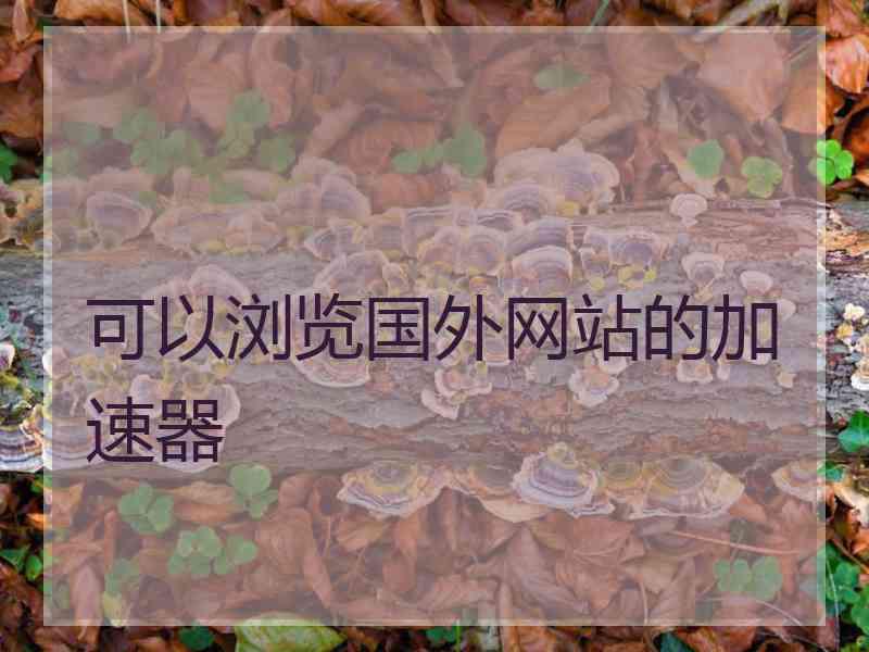 可以浏览国外网站的加速器