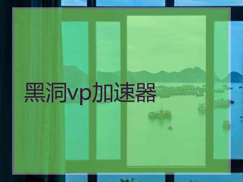 黑洞vp加速器
