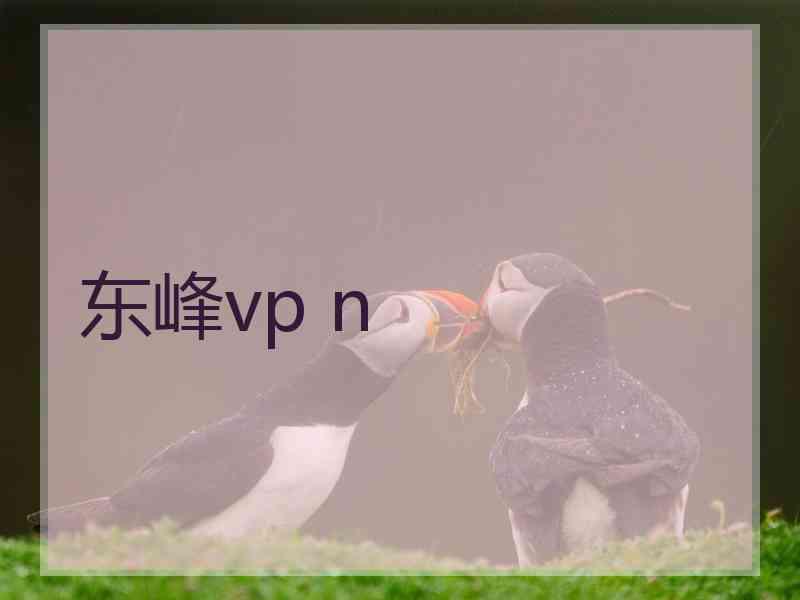 东峰vp n