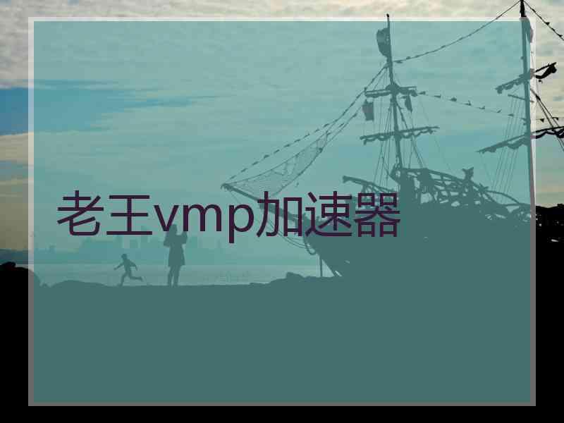 老王vmp加速器
