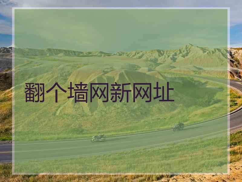 翻个墙网新网址