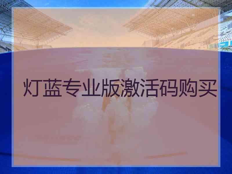 灯蓝专业版激活码购买