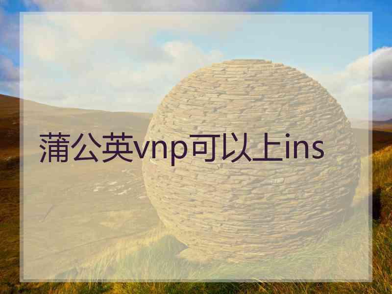 蒲公英vnp可以上ins