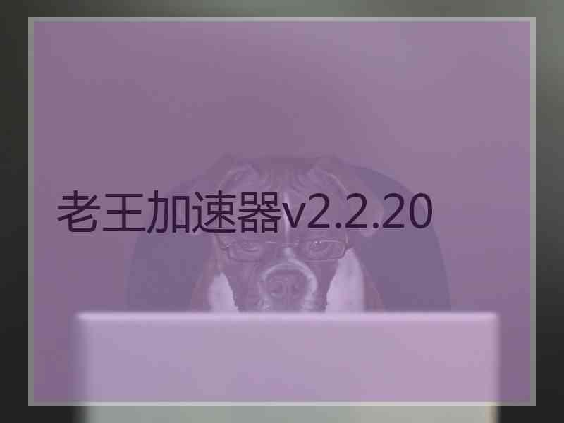 老王加速器v2.2.20
