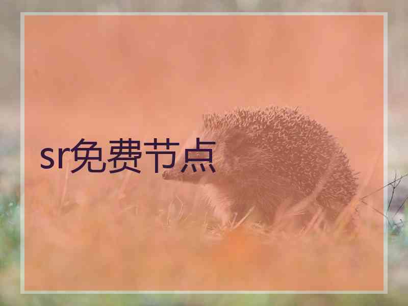 sr免费节点