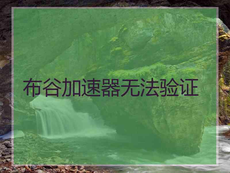 布谷加速器无法验证