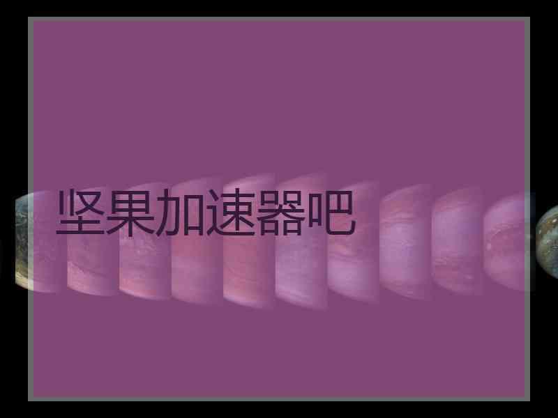坚果加速器吧