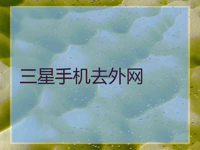 三星手机去外网