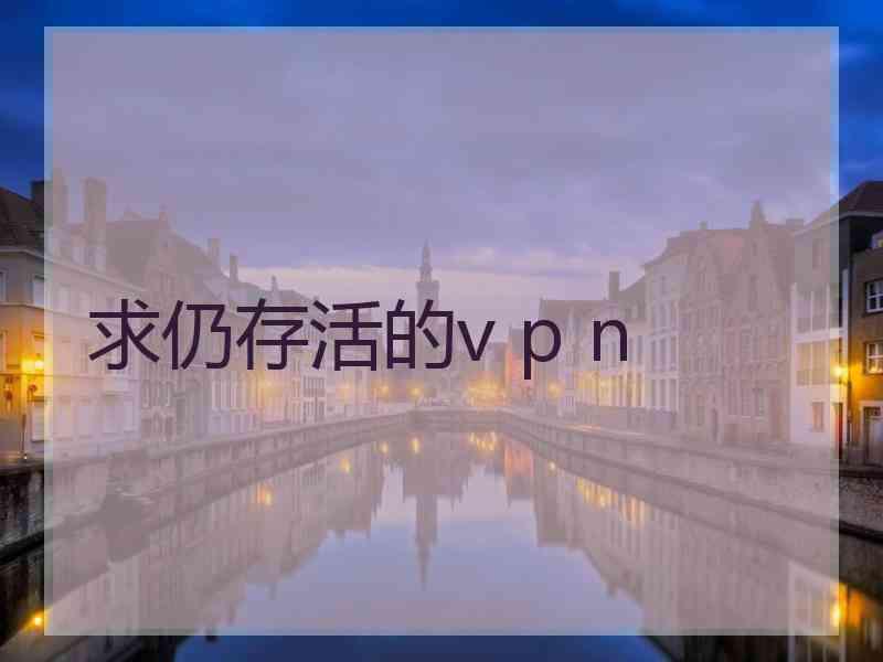 求仍存活的v p n