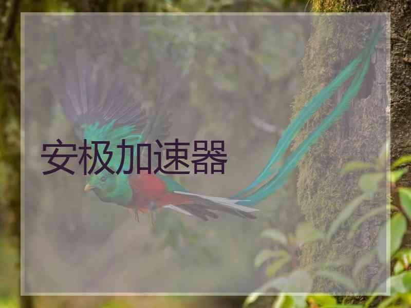 安极加速器