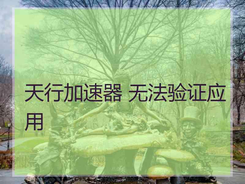 天行加速器 无法验证应用