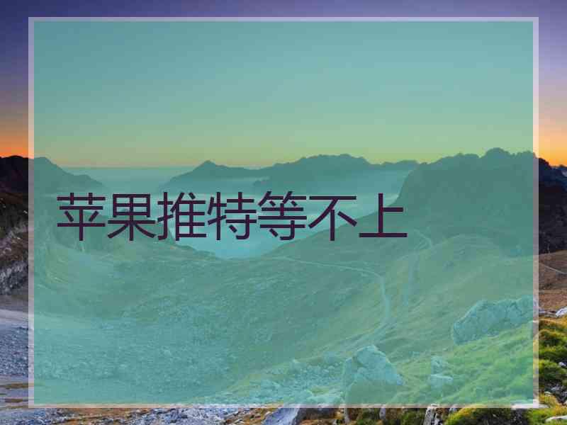 苹果推特等不上
