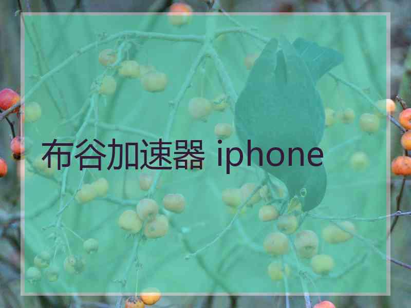 布谷加速器 iphone
