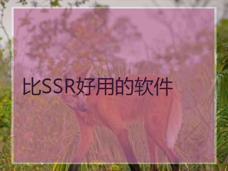 比SSR好用的软件