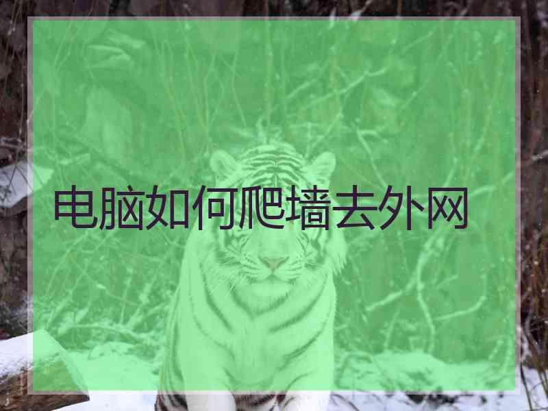 电脑如何爬墙去外网
