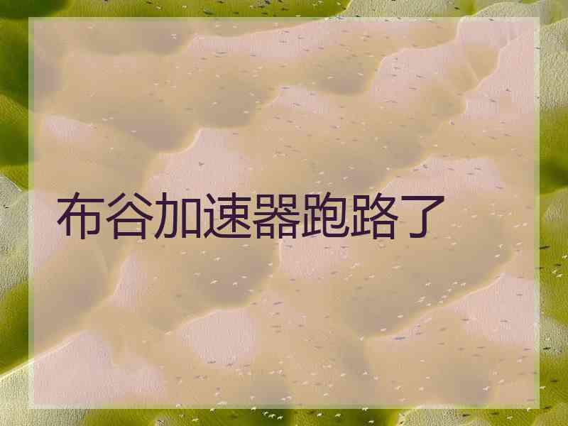 布谷加速器跑路了