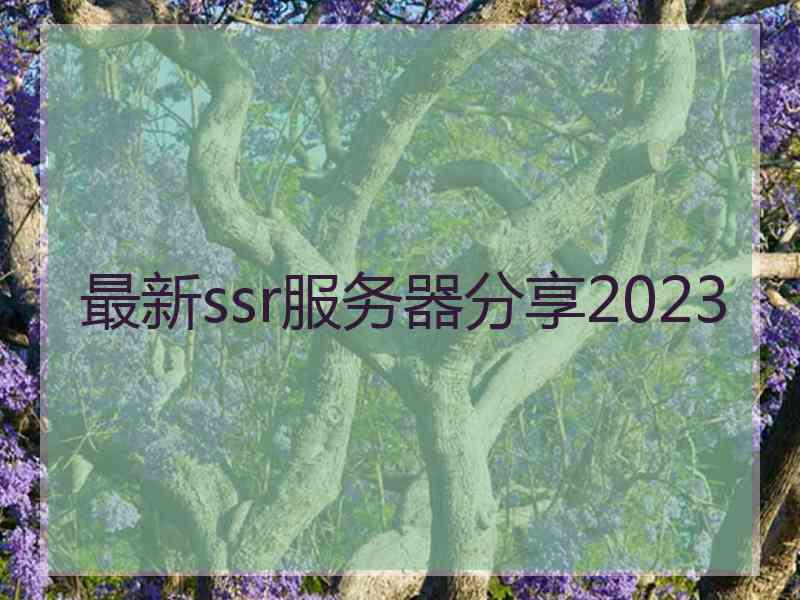 最新ssr服务器分享2023