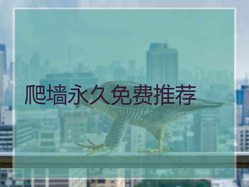 爬墙永久免费推荐