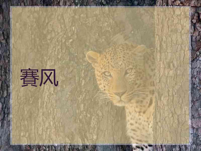賽风
