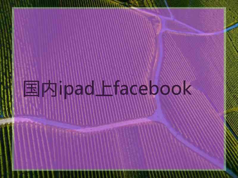 国内ipad上facebook