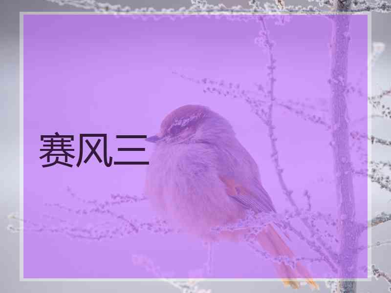 赛风三