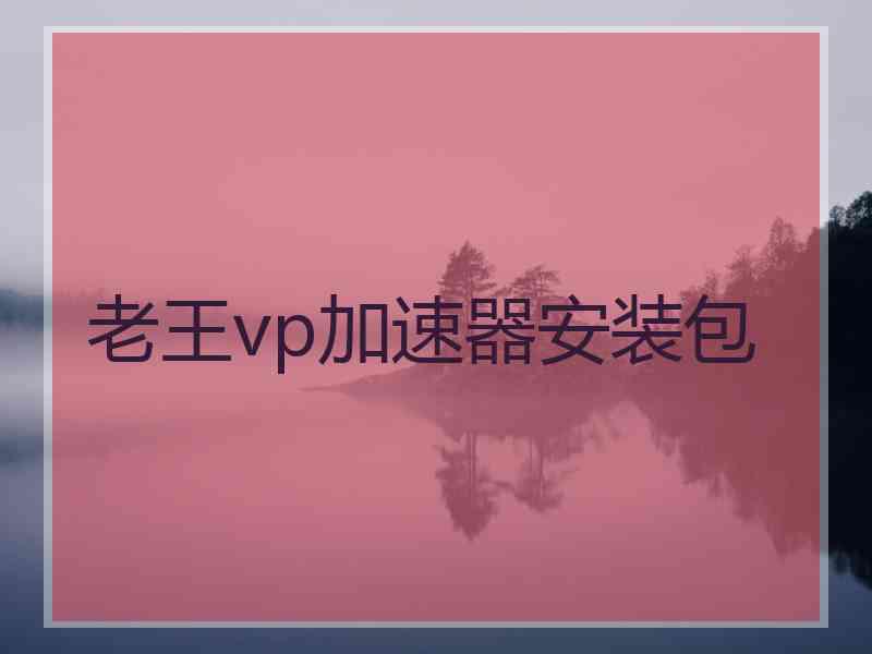 老王vp加速器安装包