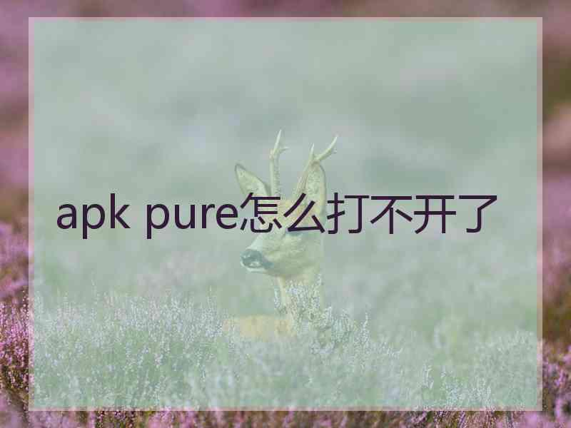 apk pure怎么打不开了