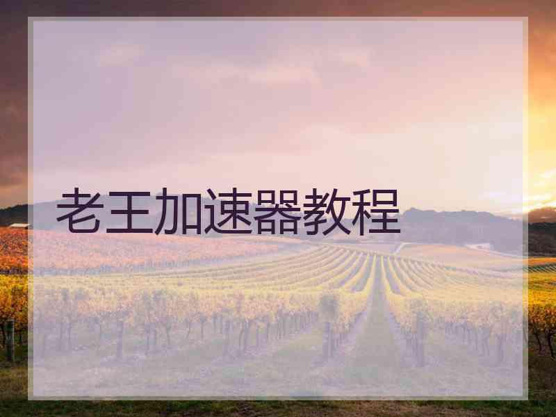 老王加速器教程