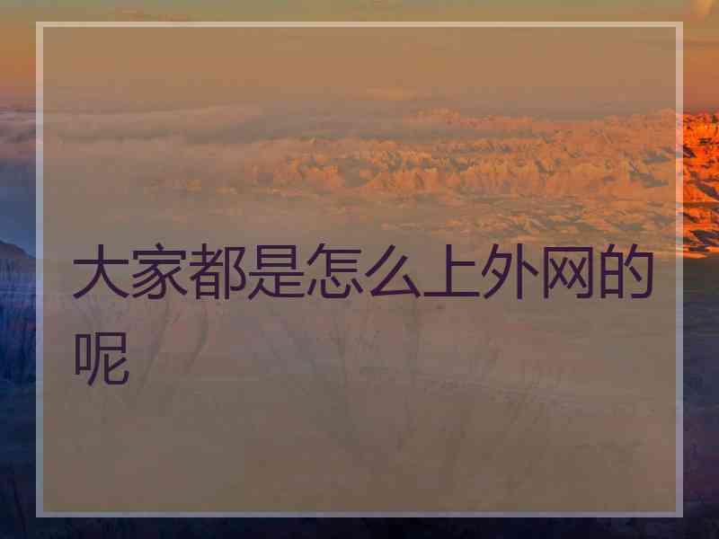 大家都是怎么上外网的呢